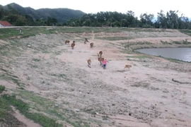 Hồ Cây Sung đã bị bồi lấp và sạt lở nhiều điểm. (Ảnh: Nguyên Lý/TTXVN)