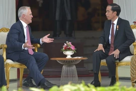 Tổng thống Indonesia Joko Widodo (phải) và Thủ tướng Australia Malcolm Turnbull tại cuộc gặp. (Nguồn: AFP/TTXVN) 