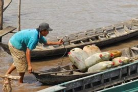 Bắt giữ vụ vận chuyển hơn 7.000 lít xăng không có hóa đơn