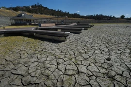 Hồ Folsom ở Sacramento, Mỹ khô cạn và nứt nẻ do hạn hán. (Nguồn: AFP/TTXVN)
