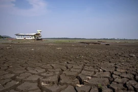 Đáy hồ Aleixo ở khu vực Manaus, Amazonas, Brazil nứt nẻ do hạn hán. Ảnh minh họa. (Nguồn: AFP/TTXVN)
