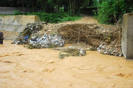 (Ảnh minh họa: Xuân Tư/TTXVN)