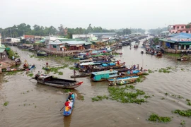 [Photo] Nhộn nhịp mua bán tại chợ nổi Ngã Năm lúc tờ mờ sáng