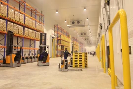 (Ảnh minh họa: Thanh Vũ/TTXVN)