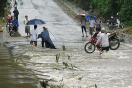 (Ảnh minh họa: Lục Văn Toán/TTXVN)