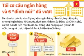 [Infographics] Tái cơ cấu ngân hàng và sáu “đỉnh núi” đã vượt