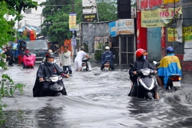 (Ảnh minh họa: Mạnh Linh/TTXVN)