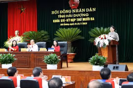 Chủ tịch Quốc hội Nguyễn Thị Kim Ngân phát biểu tại Kỳ họp thứ mười ba Hội đồng nhân dân tỉnh Hải Dương. (Ảnh: Trọng Đức/TTXVN)
