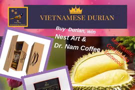 Chương trình quảng bá Tuần lễ sầu riêng Việt Nam tại Australia do Thương vụ và Công ty ASEAN phối hợp thực hiện.