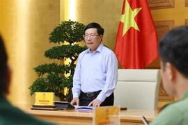 Phó Thủ tướng, Bộ trưởng Bộ Ngoại giao Phạm Bình Minh phát biểu chỉ đạo. (Ảnh: Lâm Khánh/TTXVN)