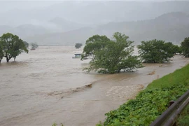 Mưa lớn gây ngập tại tỉnh miền Tây Kumamoto, Nhật Bản. (Nguồn: AFP)
