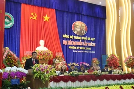 Toàn cảnh đại hội. (Ảnh: Đặng Tuấn/Vietnam+)