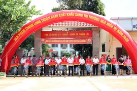 Các đại biểu cắt băng xuất khẩu lô thanh long ruột đỏ sang thị trường Liên bang Nga. (Ảnh: Hữu Quyết/TTXVN)