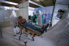 Nhân viên y tế chuyển bệnh nhân mắc COVID-19 tại một bệnh viện ở bang Para, Brazil. (Ảnh: AFP/TTXVN)