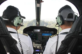 Bộ Y tế đề nghị xác minh thông tin nhân bản phiếu siêu âm tim cho phi công. (Ảnh: Hải Yến/TTXVN)