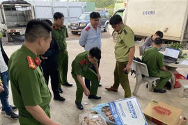 Lực lượng chức năng kiểm tra thực phẩm tại Công ty TNHH thực phẩm Khánh Huy. (Ảnh: Nguyễn Văn Việt/TTXVN)