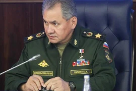 Bộ trưởng Quốc phòng Nga Sergey Shoigu. (Nguồn: themoscowtimes.com)