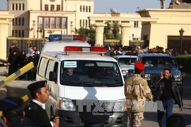 Ảnh minh họa. (Nguồn: TTXVN)