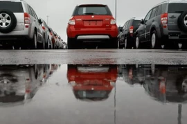 Ảnh minh họa. (Nguồn: Getty Images)