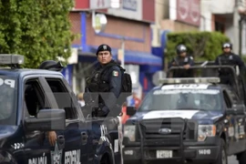 Mexico bắt giữ thêm một trùm tổ chức buôn bán ma túy sừng sỏ