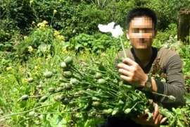 Maroc là nước sản xuất nhựa cần sa lớn nhất châu Phi