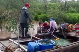 Thi thể của nạn nhân được các ngư dân đi đánh bắt hải sản phát hiện. (Ảnh: TTXVN phát)