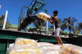 Vận chuyển gạo xuất khẩu bằng đường sông. (Ảnh: Vũ Sinh/TTXVN)