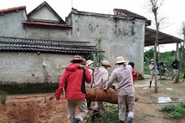 Xử lý thành công một quả bom trong vườn nhà dân. (Ảnh: TTXVN phát)