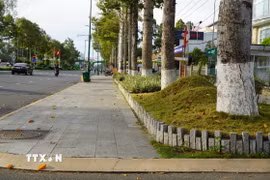 Ảnh minh họa. (Nguồn: TTXVN)