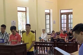 Các bị cáo tại phiên tòa xét xử. (Ảnh: TTXVN)