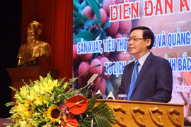 Phó Thủ tướng Vương Đình Huệ phát biểu tại diễn đàn. (Ảnh: Tùng Lâm/TTXVN)