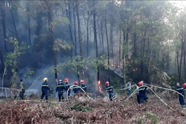 Chữa cháy rừng. (Nguồn: TTXVN)