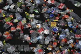 Rác thải nhựa trôi trên sông Spree ở Berlin, Đức ngày 26/9/2018. (Ảnh: AFP/TTXVN)