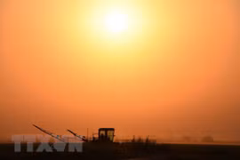 Quang cảnh một cánh đồng trong nắng gắt ở gần Bakersfield, bang California, Mỹ. (Nguồn: AFP/ TTXVN)