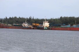 Ảnh minh họa. (Nguồn: TTXVN)