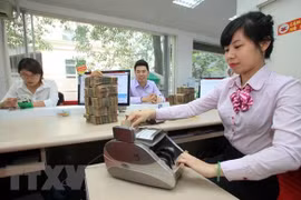 Ảnh minh họa. (Nguồn: TTXVN)