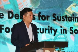 Ông Vũ Hồ, Vụ trưởng Vụ ASEAN, Bộ Ngoại giao Việt Nam phát biểu tại hội thảo. (Ảnh: Tiên Minh/TTXVN) 
