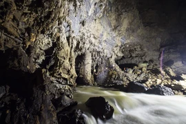 Bên trong hang Tiên 1. (Nguồn: Oxalis Adventures/Vietnam+)