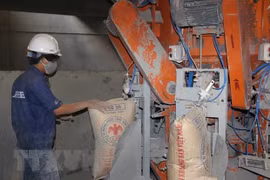Đóng gói sản phẩm ximăng. (Nguồn: TTXVN)