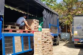 Hàng ngàn lon nước ngọt bò húc bị lực lượng chức năng thu giữ. (Ảnh: Đậu Tất Thành/TTXVN)