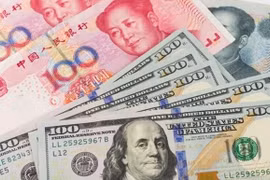 (Nguồn: TTXVN)