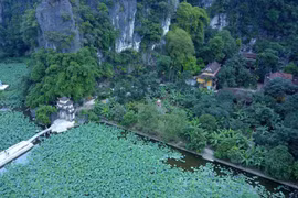 Chùa Bích Động không chỉ đẹp hút hồn du khách mỗi mùa lúa chín mà còn làm say đắm lòng người với khung cảnh thanh bình tuyệt đẹp mỗi mùa sen về. (Ảnh: Minh Đức/TTXVN)