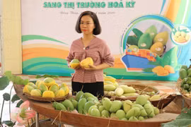 Xoài Cao Lãnh xuất khẩu sang thị trường Mỹ. (Ảnh : Nguyễn Văn Trí/TTXVN) 