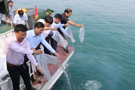 Lãnh đạo tỉnh Ninh Thuận cùng đại diện doanh nghiệp sản xuất giống thủy sản thả tôm, cá biển giống xuống vùng biển Ninh Chữ. (Ảnh: Nguyễn Thành/TTXVN)