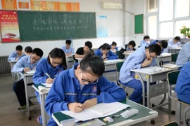 Ảnh minh họa. (Nguồn: AFP/TTXVN)