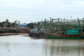 Tàu, thuyền neo đậu tránh trú bão. (Ảnh: An Đăng/TTXVN)