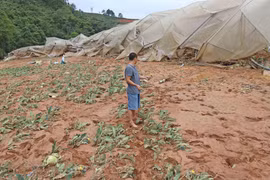 Khu nhà kính sản xuất nông nghiệp cao của bà Phan Thị Tuyết Dân (xã Lát, Lạc Dương) bị nước lũ cuốn sập. (Ảnh: Nguyễn Dũng/TTXVN)