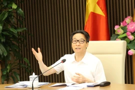 Phó Thủ tướng Vũ Đức Đam phát biểu chỉ đạo. (Ảnh: Lâm Khánh/TTXVN)
