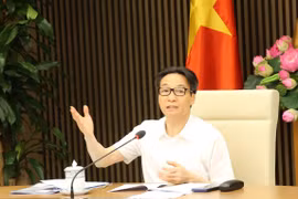 Phó Thủ tướng Vũ Đức Đam phát biểu chỉ đạo. (Ảnh: Lâm Khánh/TTXVN)