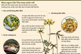 [Infographics] Thưởng thức món ngon Cần Thơ mùa nước nổi